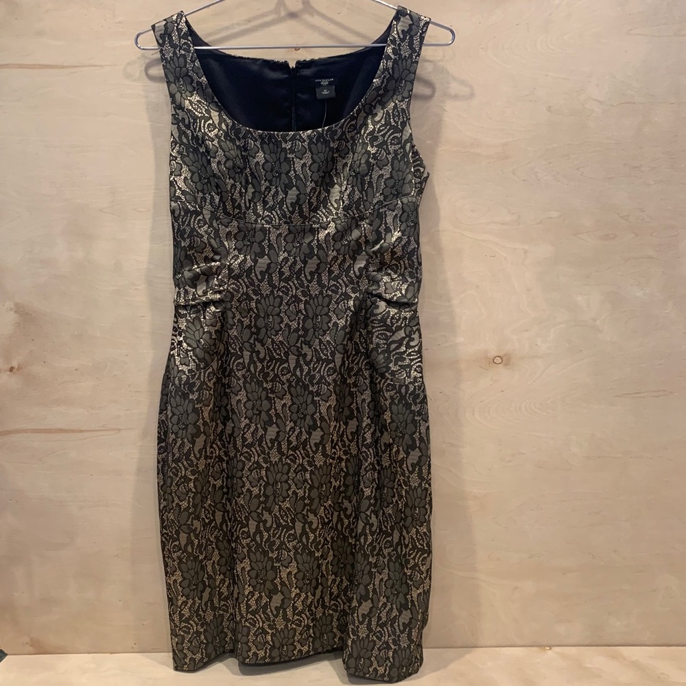 NWT Ann Taylor Lace Dress - Picture 3 of 10